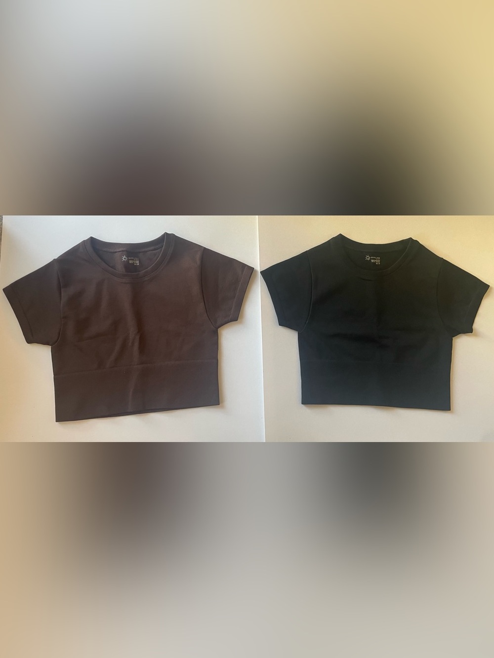 aerie Pair of Cropped Tees in Black and Brown Athletic Pilates Yoga Wear
